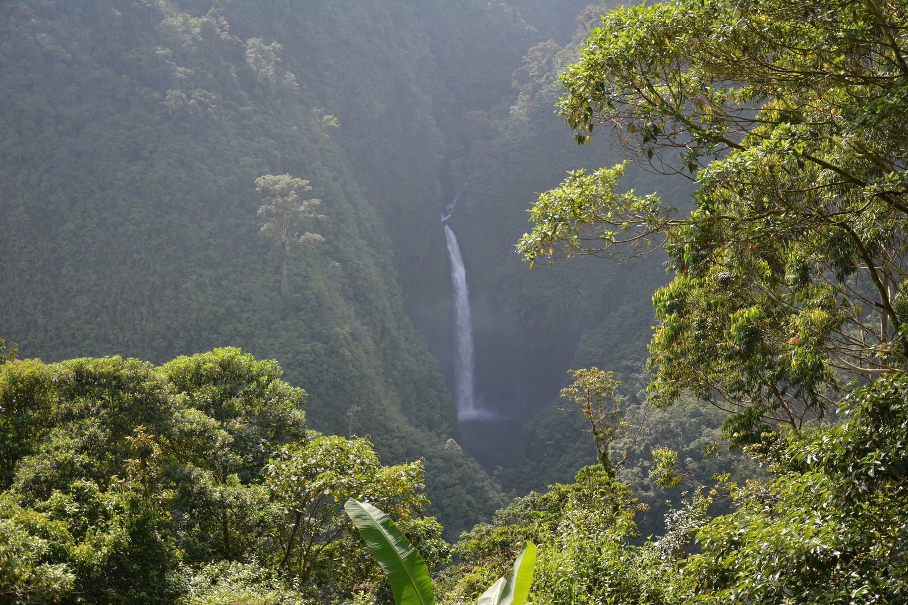 La Paz Waterfall in Costa Rica