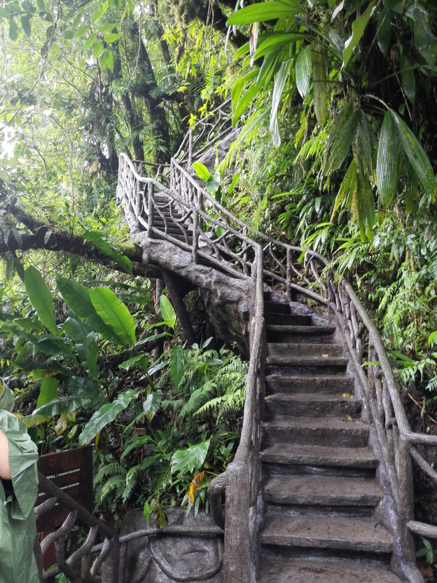 Stairs and walkways in the forest La Paz Waterfall Gardens in Vara Blanca, Costa Rica.