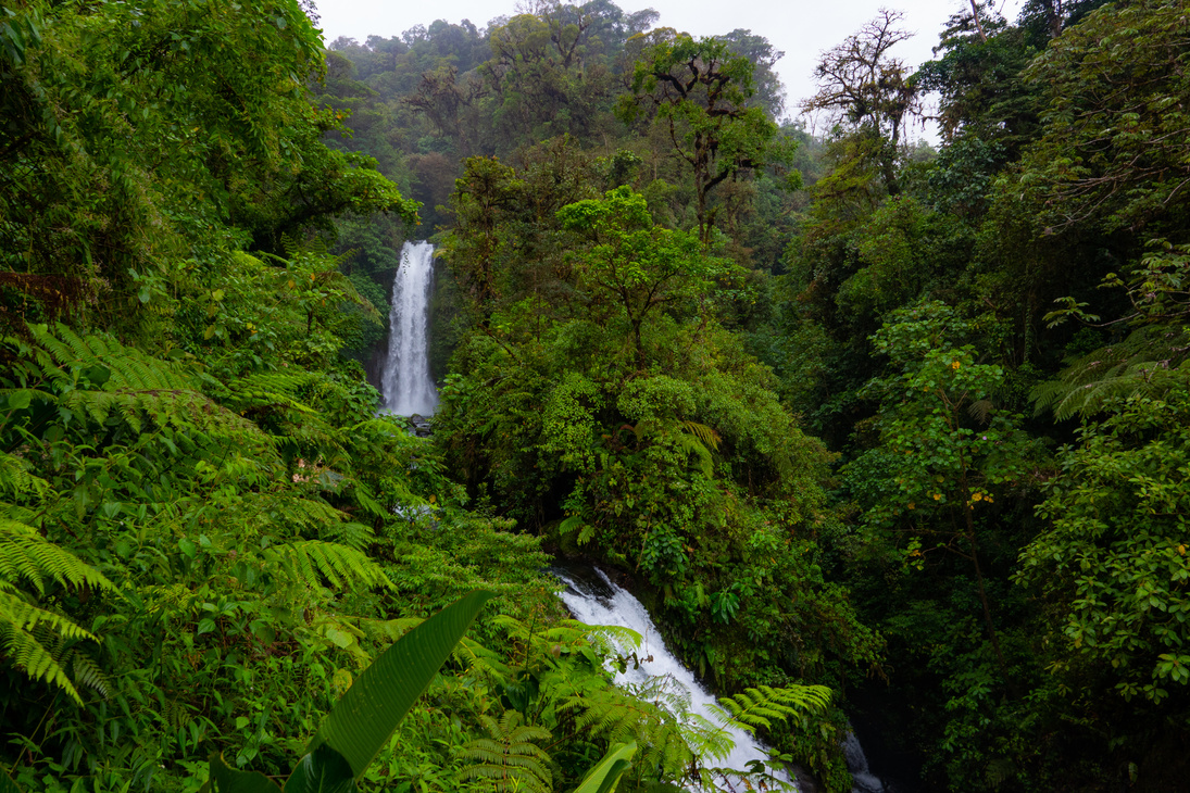 La Paz Waterfall